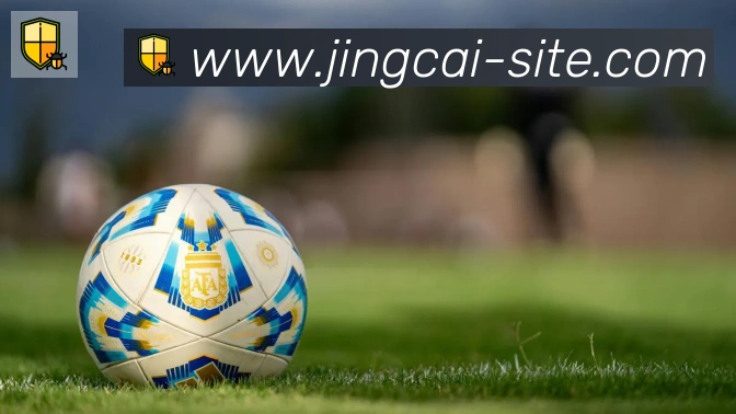 竞彩网首页平台生态图